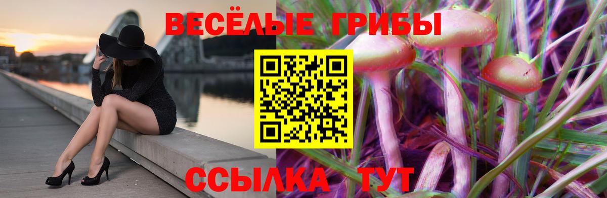 Галлюциногенные грибы мухоморы  Галлюциногенные грибы GOLDEN TEACHER  Вход с VPN  Борисоглебск 